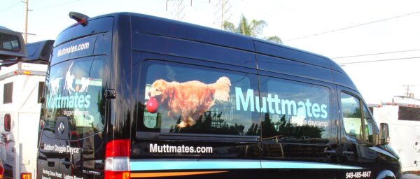 Custom Doggie Transport Van from American Trucks & Vans